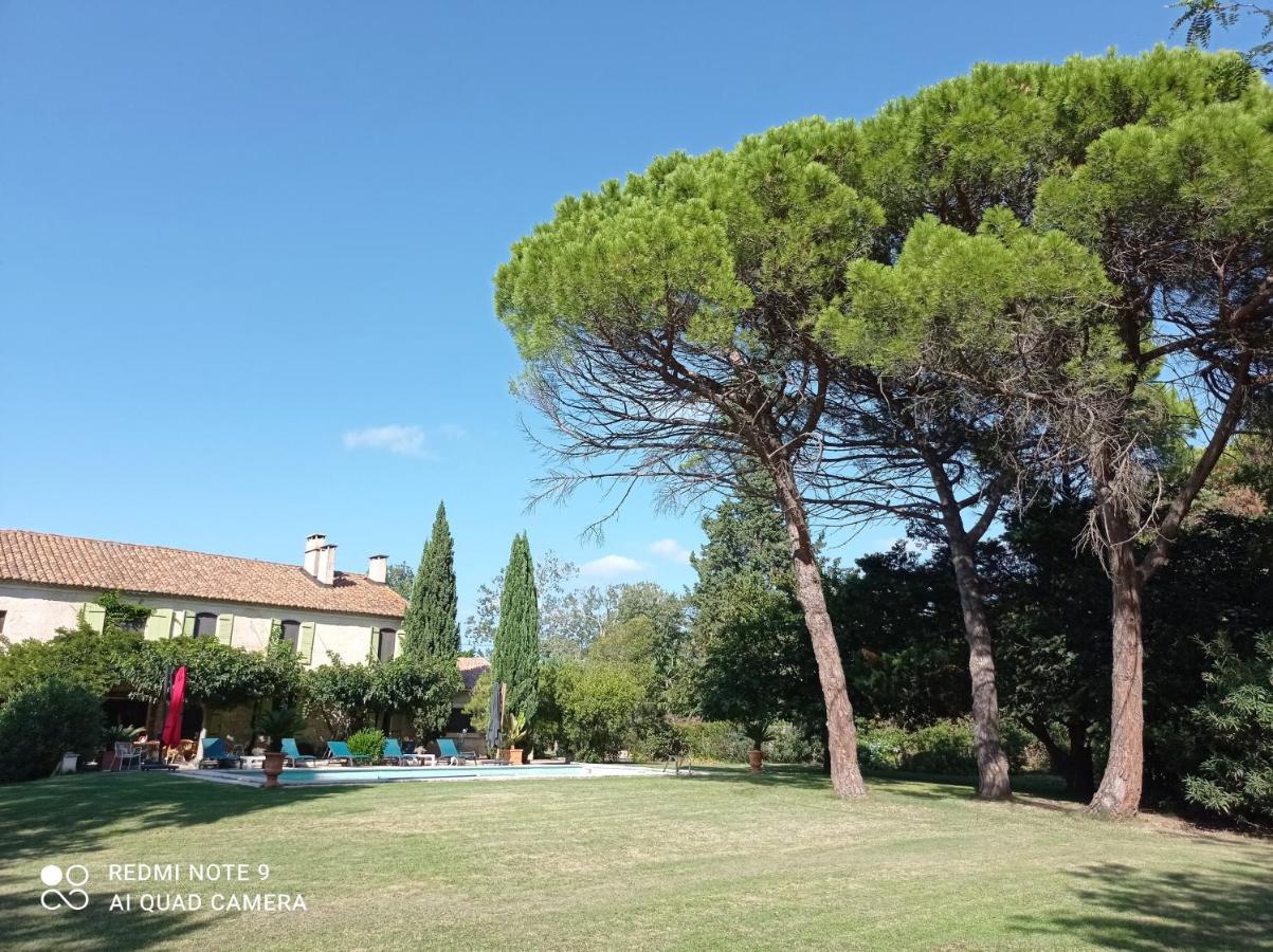 Le Mas Neuf 1752 Arles Exterior foto