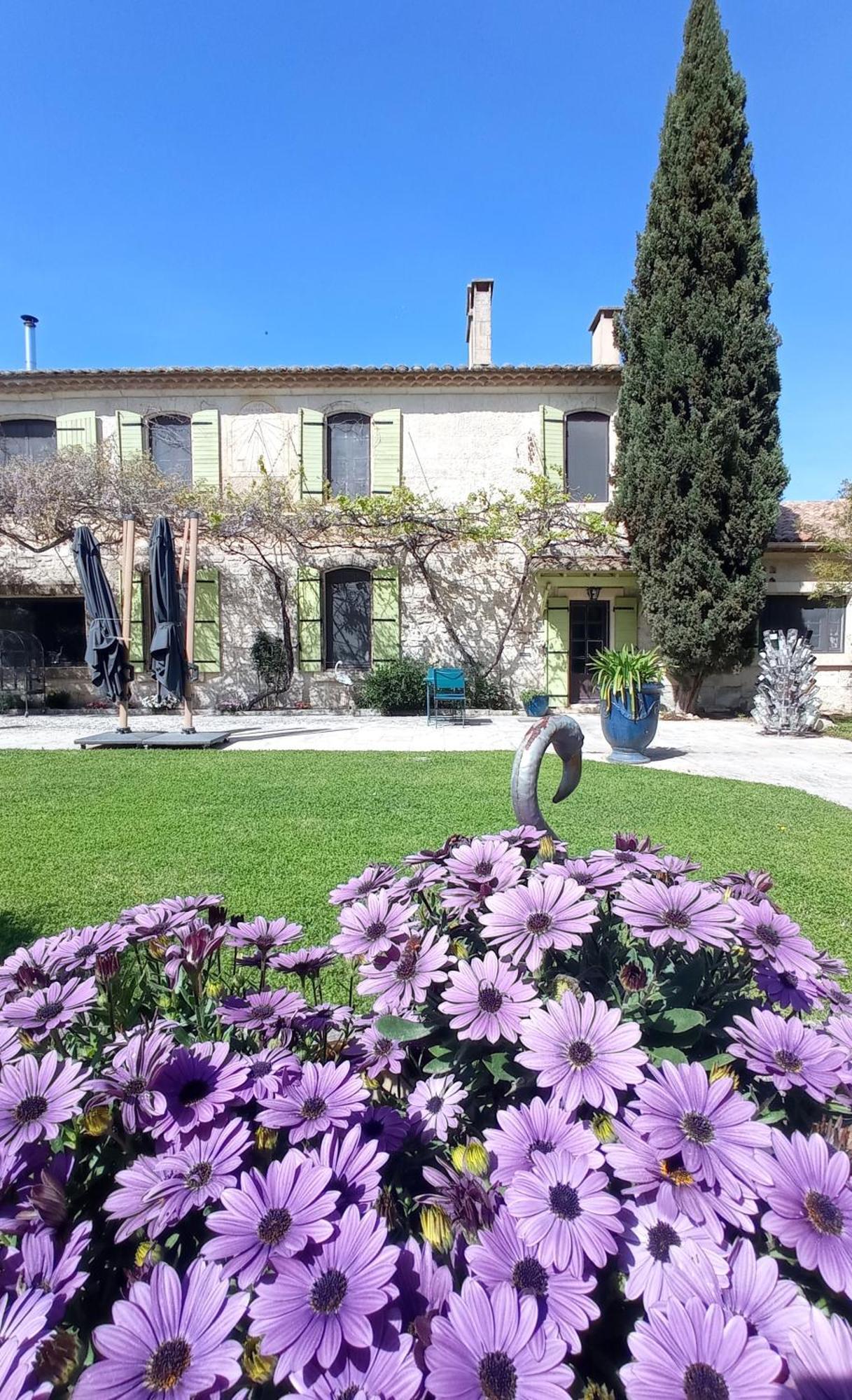 Le Mas Neuf 1752 Arles Exterior foto
